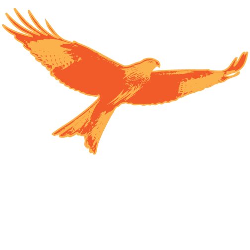 schule-am-vogler.com